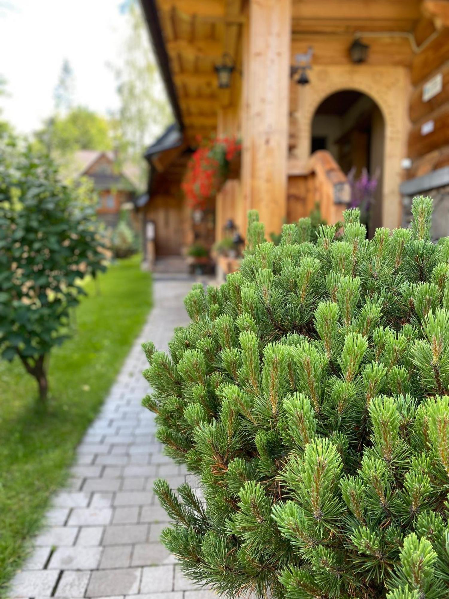 Apartamenty U Giewonta Zakopane Dış mekan fotoğraf